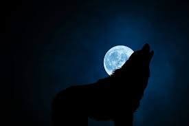real werewolf spells that really work